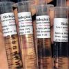 buy mushroom spore syringe