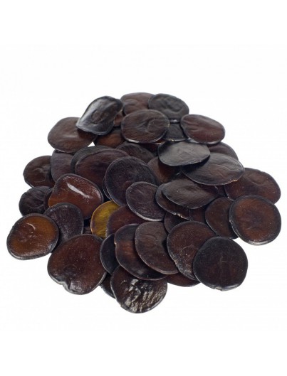 cebil-20-zaden buy cebil seeds