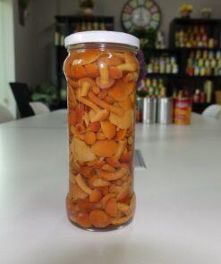 mushroom jars for sale