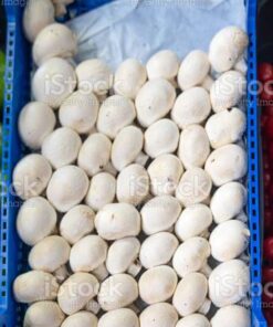 buy turkish mushroom chocolate