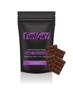 buy funguy mushroom chocolate bar