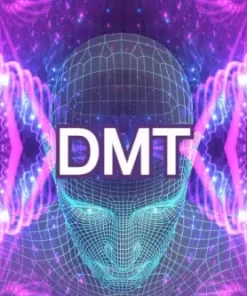 DMT/Ayahuasca