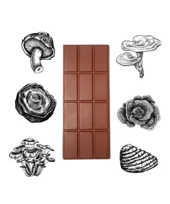 Mushroom Chocolate bars