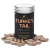 Turkey Tail Mushroom Capsules