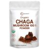 chaga mushroom powder